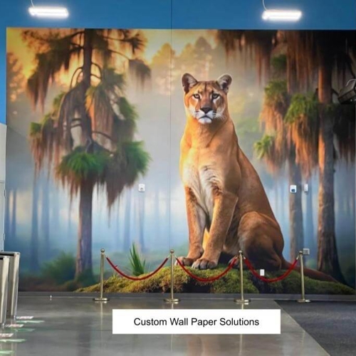B. Custom Wallpaper Solutions & Custom Vinyl Graphics